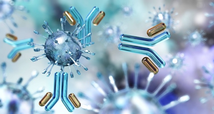 IMMUNOLOGY